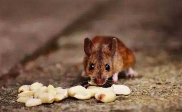 截屏2024-05-31 下午3.44.49.png