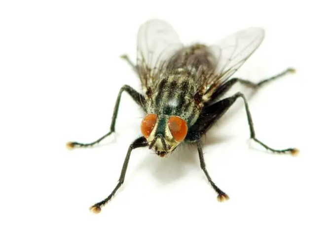 截屏2024-05-31 下午3.49.16.png