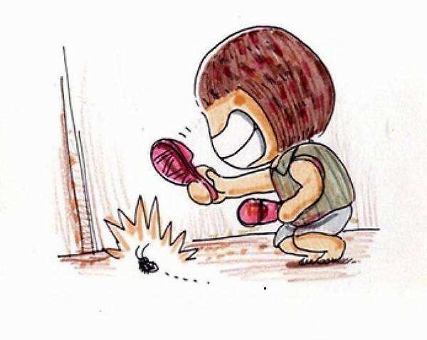 室内蟑螂防治四个要点