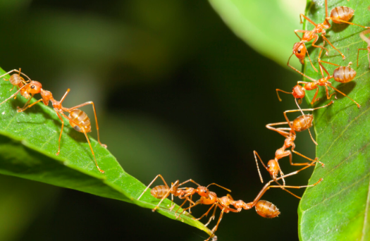 截屏2024-05-31 下午4.29.34.png