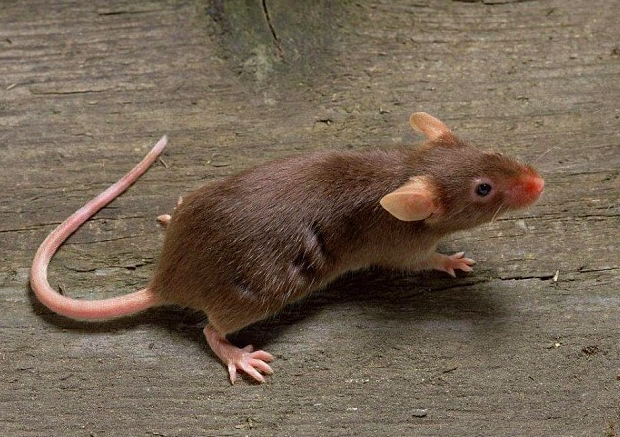 截屏2024-05-31 下午4.34.00.png