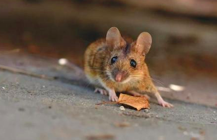 截屏2024-05-31 下午4.53.43.png