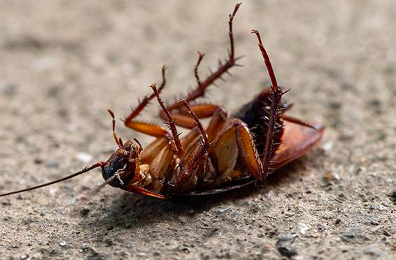 截屏2024-05-31 下午4.56.21.png