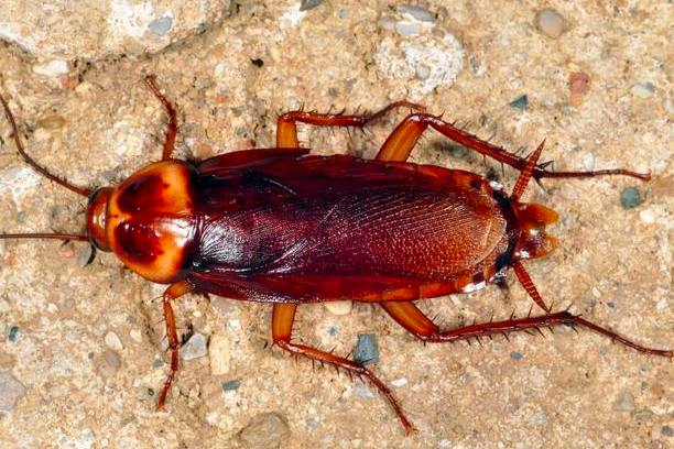 截屏2024-05-31 下午4.57.17.png