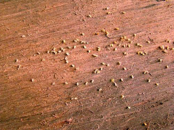 截屏2024-06-26 下午4.07.34.png