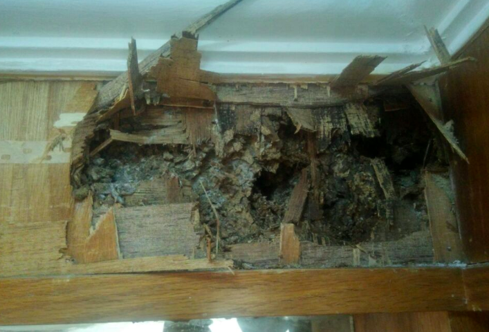 截屏2024-06-26 下午4.22.51.png