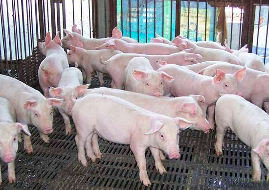 截屏2024-06-26 下午4.28.58.png