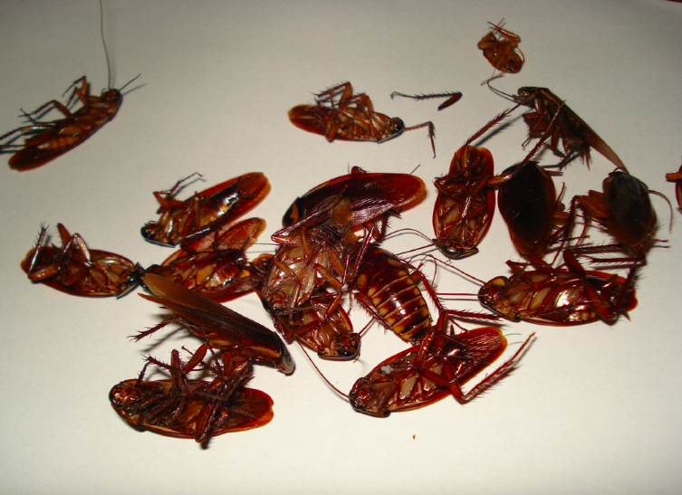 截屏2024-06-26 下午4.33.29.png