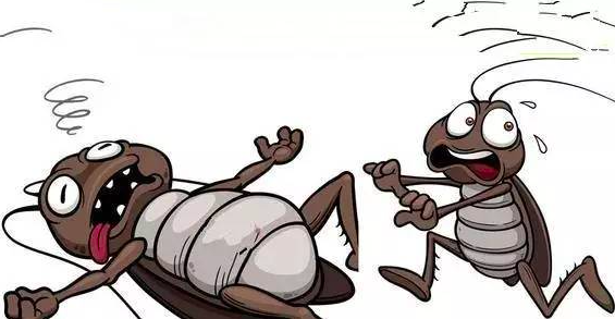 1719391025185655.png 截屏2024-06-26 下午4.37.01.png