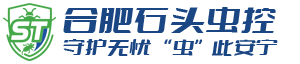 合肥石头环境科技有限公司